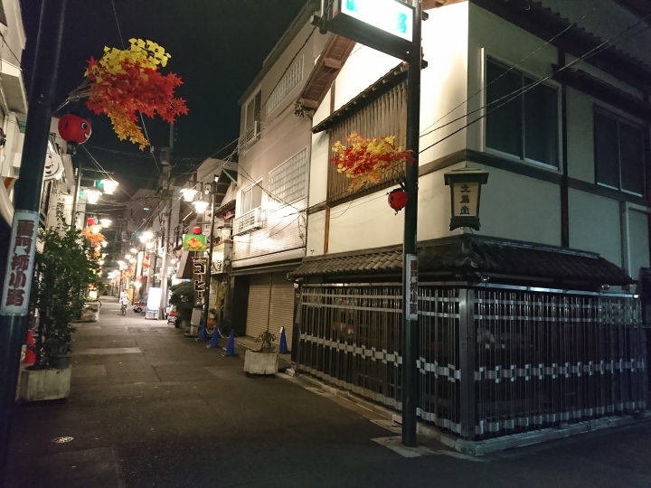 2017斷腿東京自由行第一日(成田山、上野、秋業原、夜晚的淺草寺)