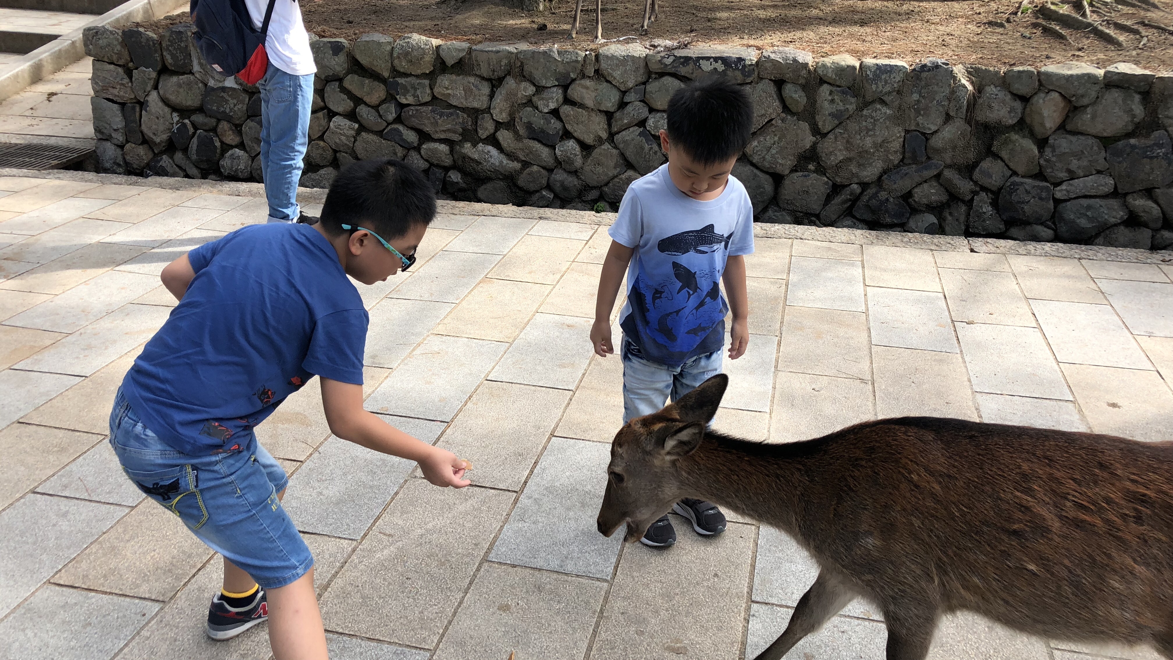 【iPhone8旅測】來趟京都大阪親子遊!代替單眼出任務!