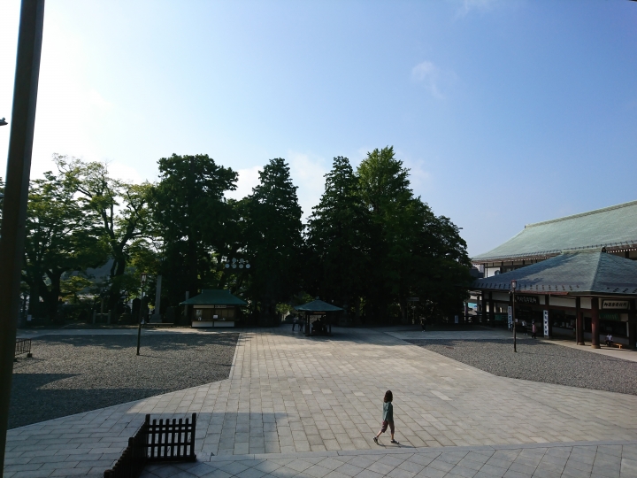 2017斷腿東京自由行第一日(成田山、上野、秋業原、夜晚的淺草寺)