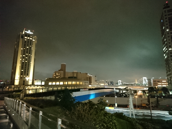 2017斷腿東京自由行第四日 (上野採買零食,台場,蛇骨湯)