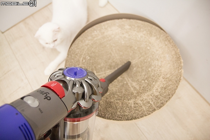 讓你貓奴人生更輕鬆! Dyson V8 Absolute+ 試用