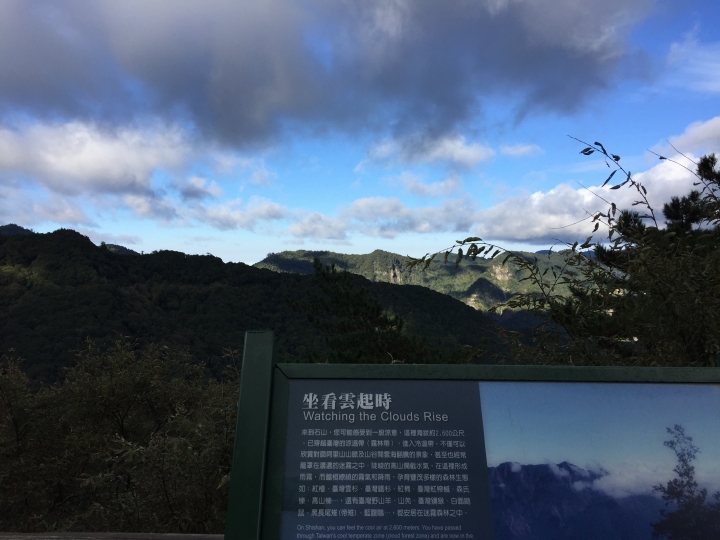 【上山．下海】玉山塔塔加+阿里山+梅山3日大縱騎