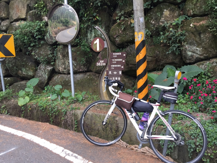 【上山．下海】玉山塔塔加+阿里山+梅山3日大縱騎