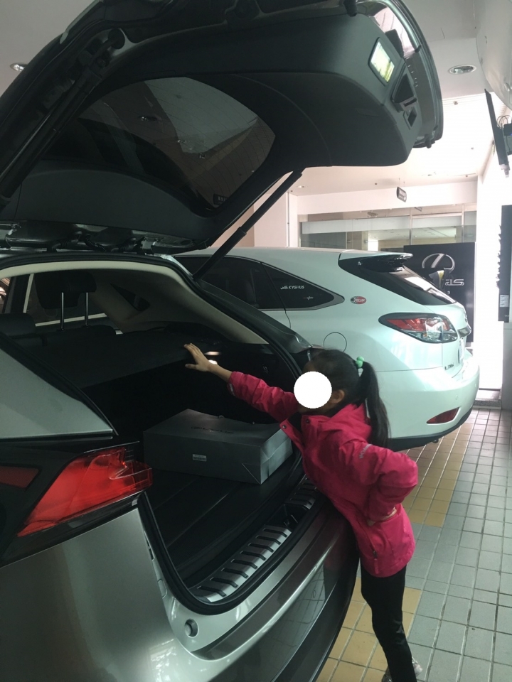 LEXUS NX300 豪華版菜單 & 交車後小心得