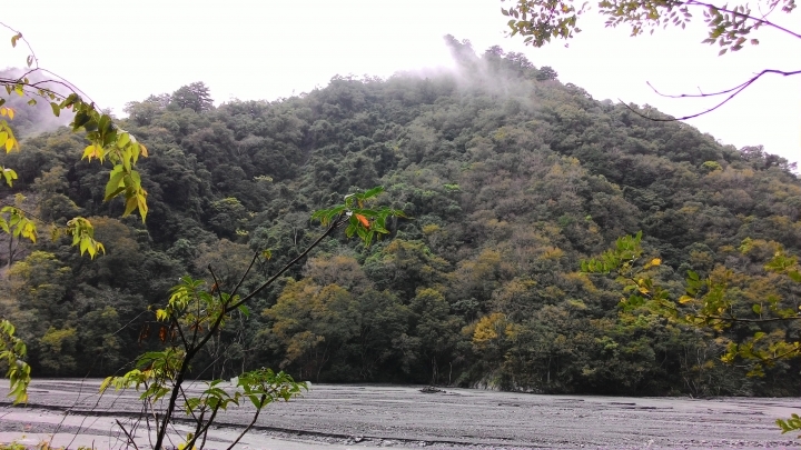 奧萬大之旅續章-楓葉紅了,雙腿軟了。
