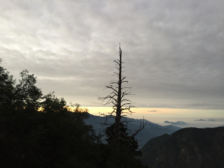 【上山．下海】玉山塔塔加+阿里山+梅山3日大縱騎