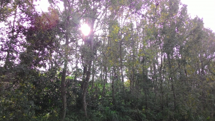 奧萬大之旅續章-楓葉紅了,雙腿軟了。