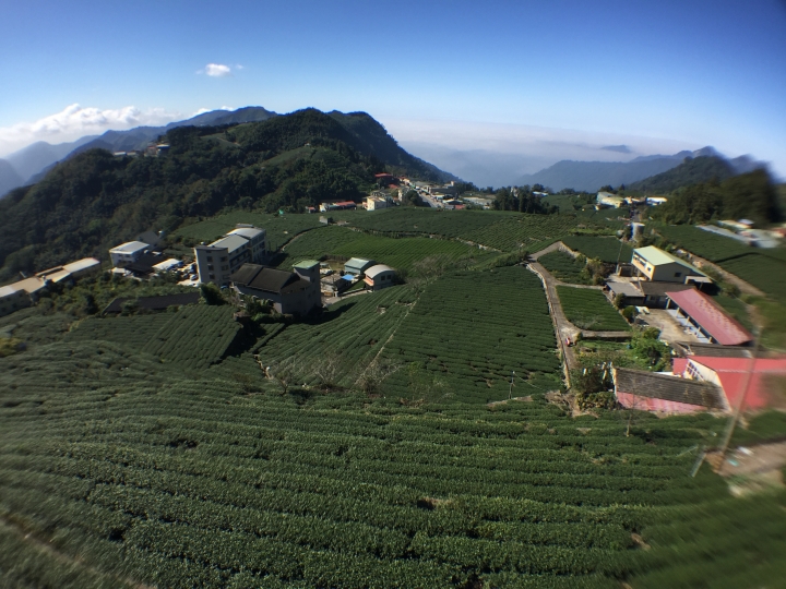 【上山．下海】玉山塔塔加+阿里山+梅山3日大縱騎