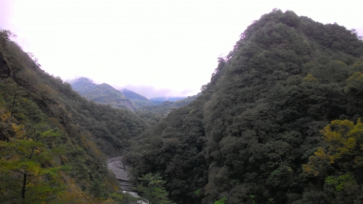 奧萬大之旅續章-楓葉紅了,雙腿軟了。