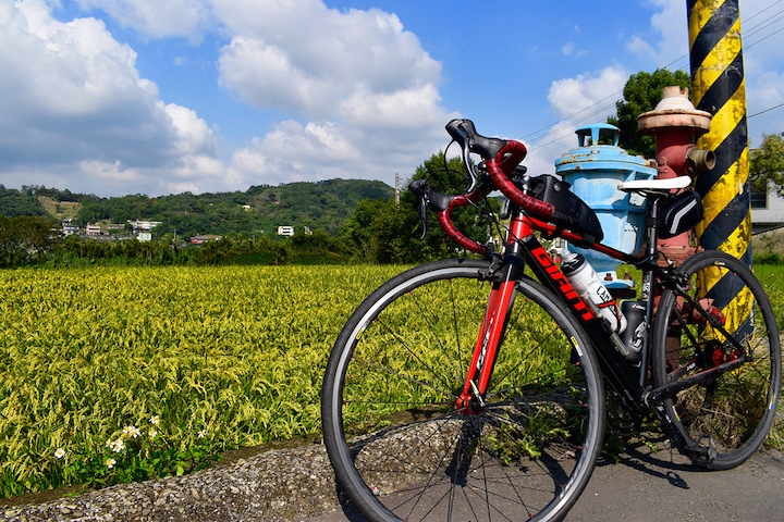 季節限定! 新埔單車賞柿遊