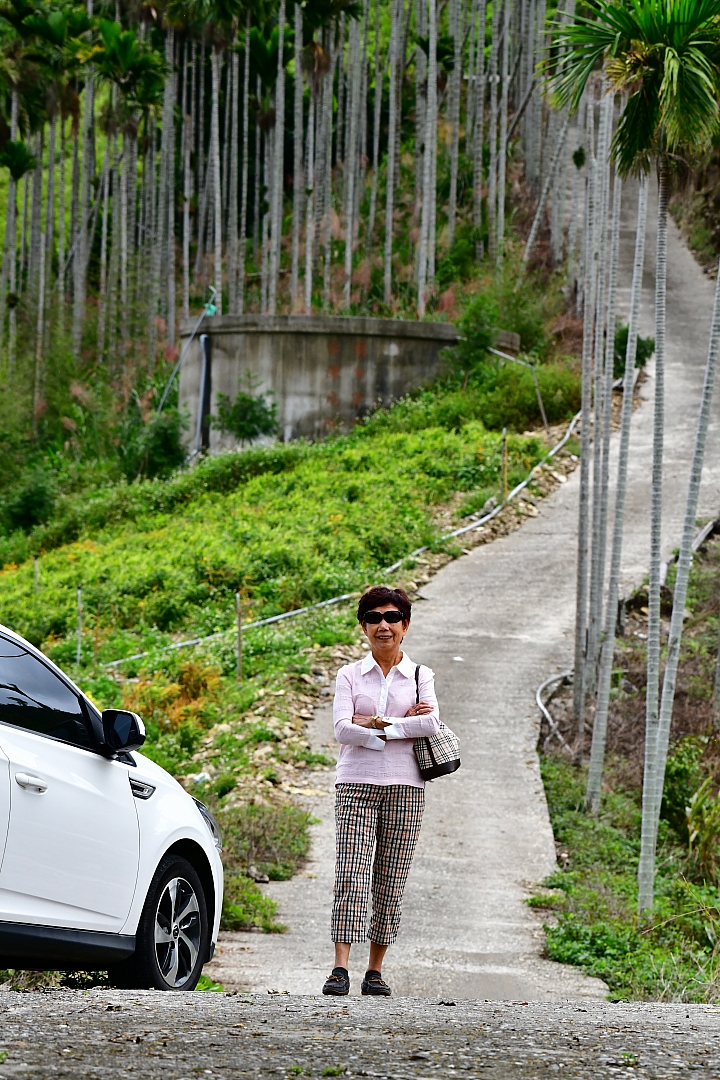 S5換成S3:選車還是要明白自己對車的需求,然後用心開,好好發揮車子本身帶來生活的便利性。