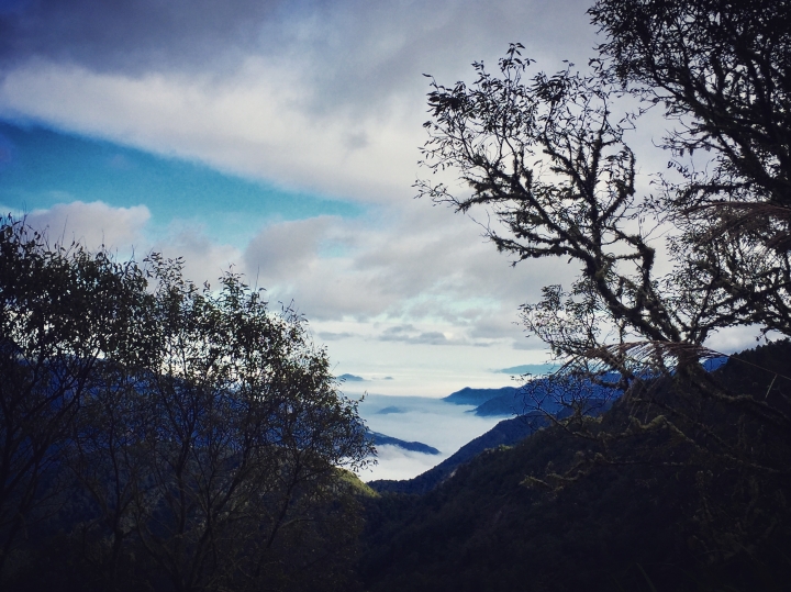 【上山．下海】玉山塔塔加+阿里山+梅山3日大縱騎