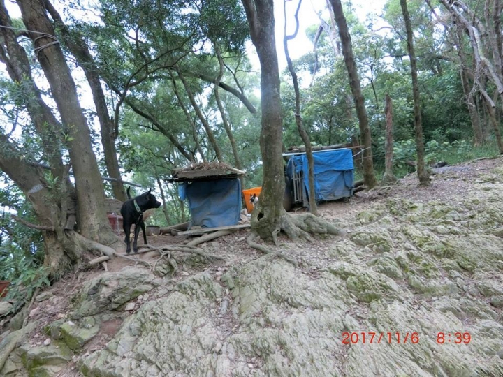 1061106 笠頂山(#76)爬山趣