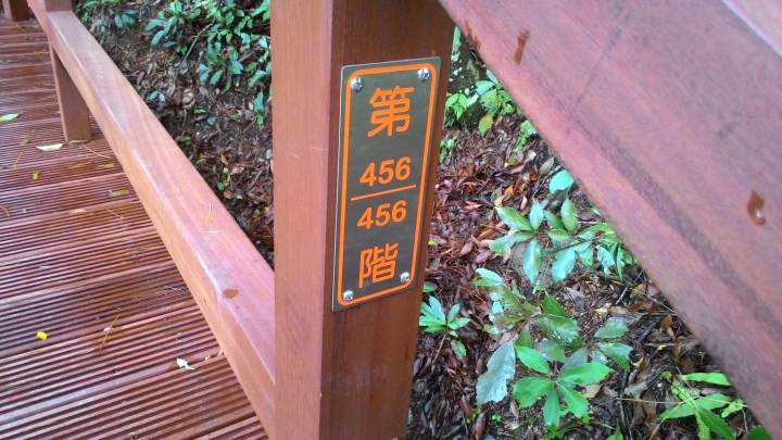 奧萬大之旅續章-楓葉紅了,雙腿軟了。