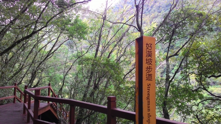 奧萬大之旅續章-楓葉紅了,雙腿軟了。