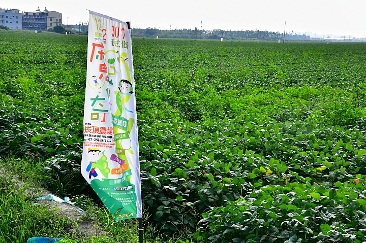 毛豆版拾穗:12月2日下午1點至4點,下崁頂或南州交流道,崁頂焚化爐前農場毛豆趴!