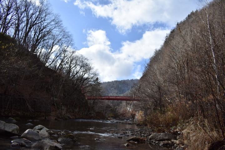 D3400。11月中北海道旅遊照分享