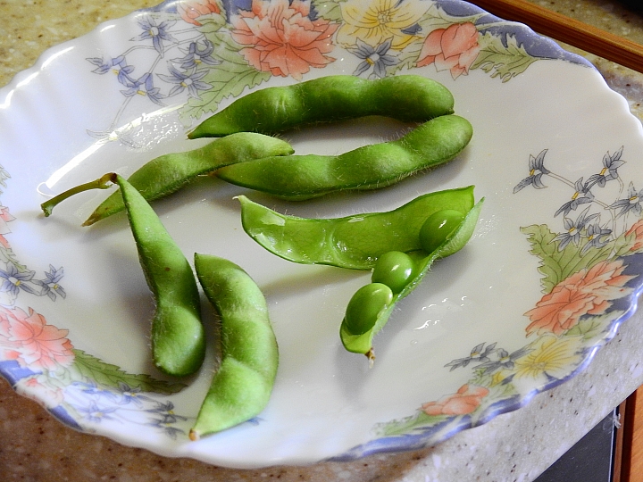 毛豆版拾穗：12月2日下午1點至4點，下崁頂或南州交流道，崁頂焚化爐前農場毛豆趴！