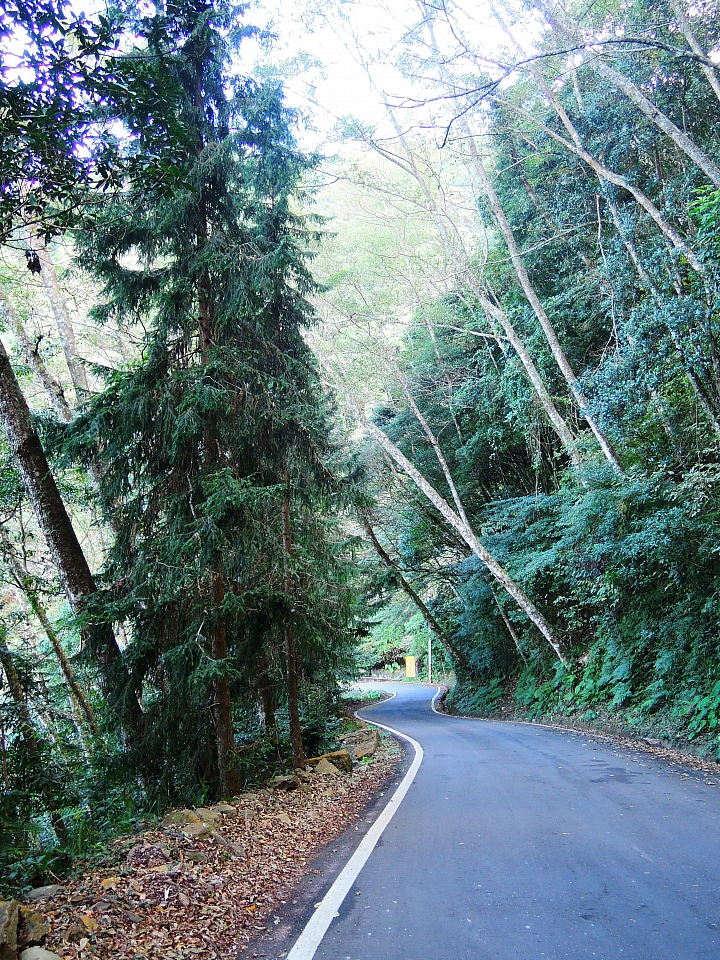 2016 單車環島日誌 Day-6 2016/12/23 台中-大雪山-台中