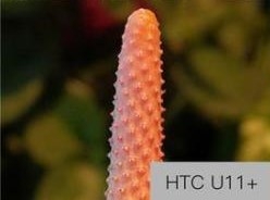 原來這就是HTC和索尼不做雙攝的原因