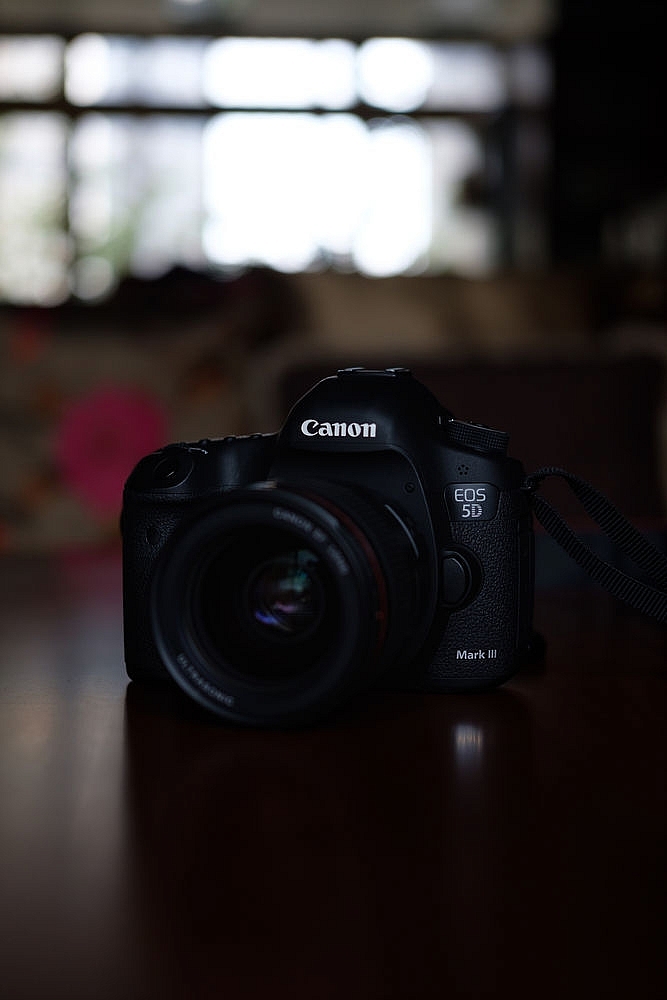 CANON EOS系统使用感受(5D Mark III / IV、1D X、M5)