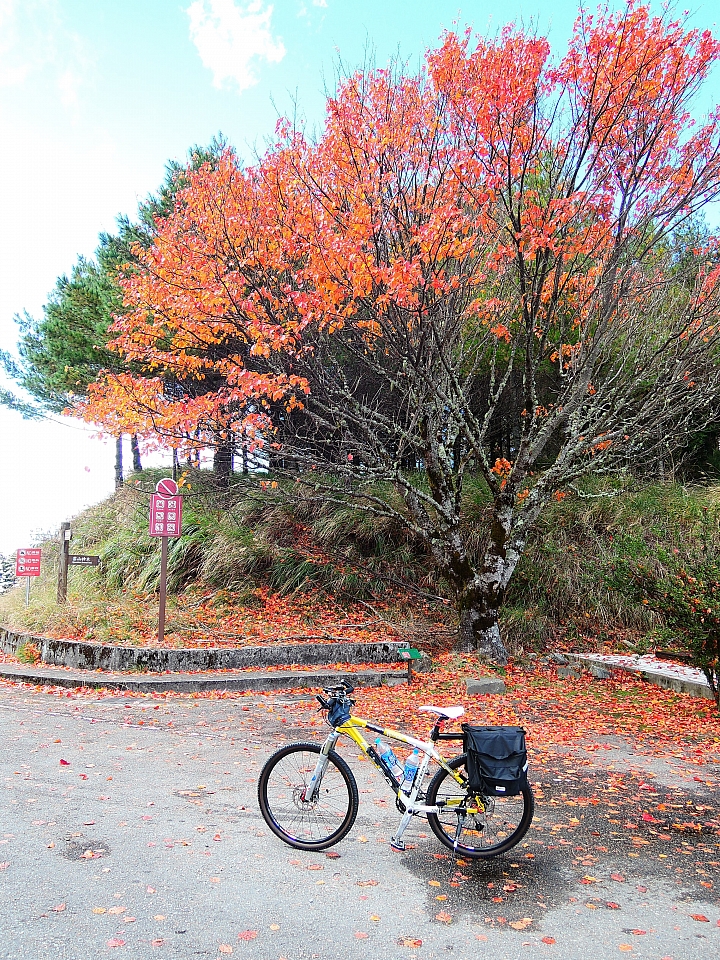 2016 單車環島日誌 Day-6 2016/12/23 台中-大雪山-台中