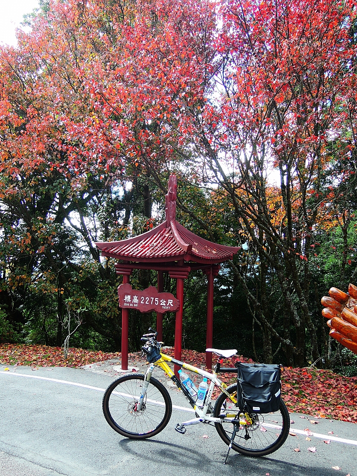 2016 單車環島日誌 Day-6 2016/12/23 台中-大雪山-台中