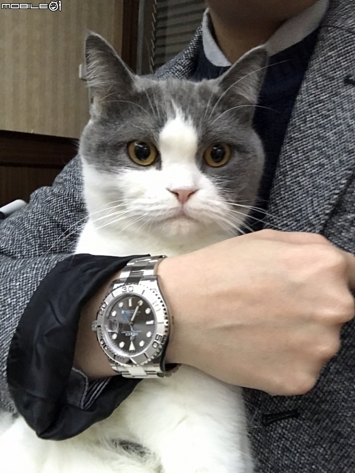 35歲的生日禮物,人生第一隻 勞力士 116622 灰面藍針遊艇鉑金框 開箱文