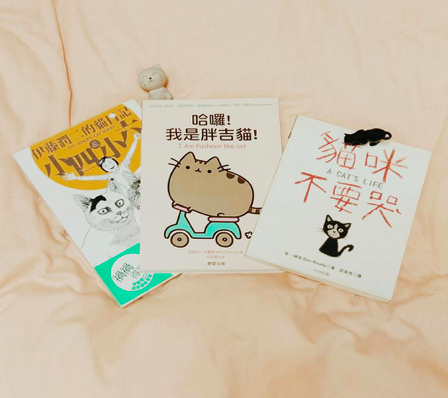 愛貓成癡的收集癖好!