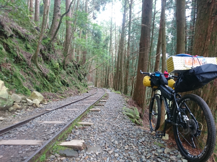 『那些Bikepacking的日子』 - 阿里山公路 x 特富野古道