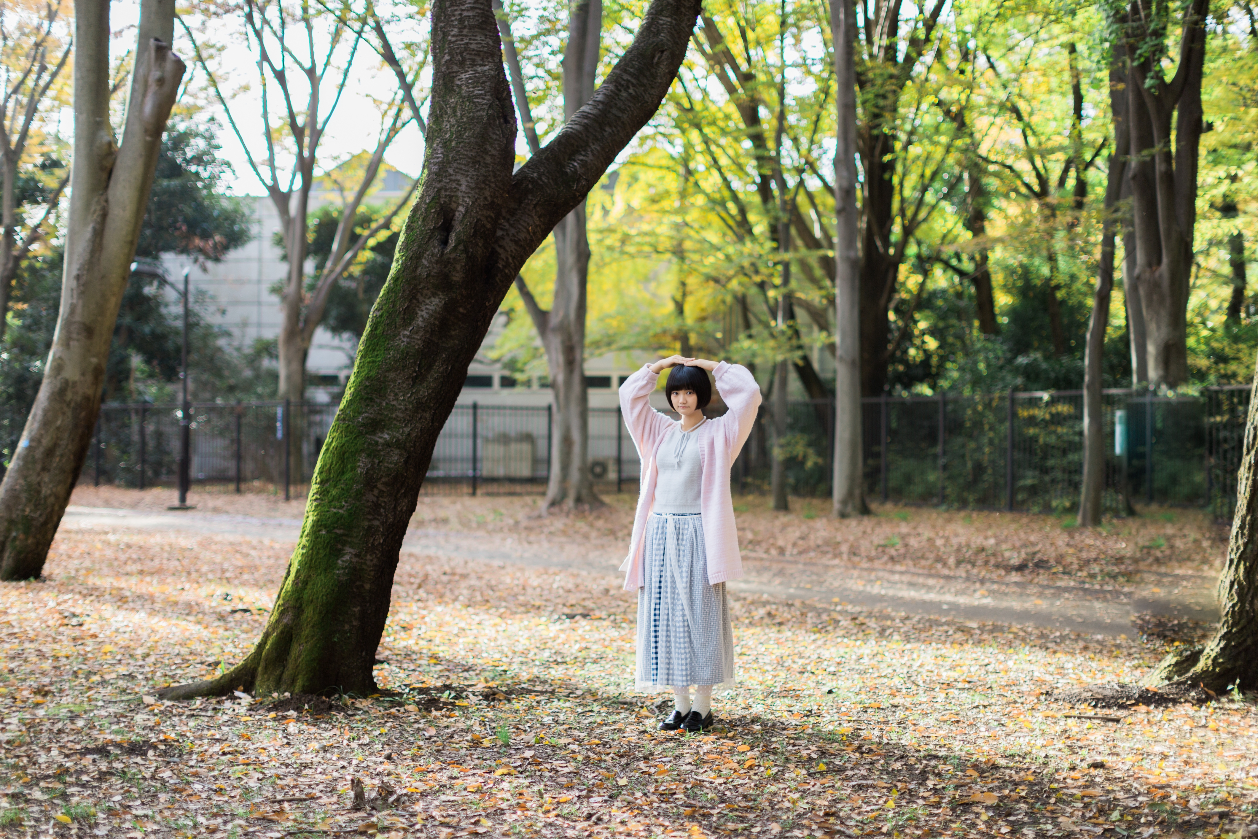 CANON EOS系统使用感受(5D Mark III / IV、1D X、M5)