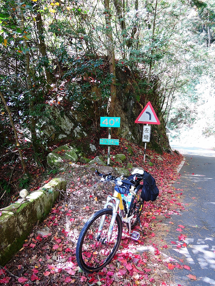 2016 單車環島日誌 Day-6 2016/12/23 台中-大雪山-台中