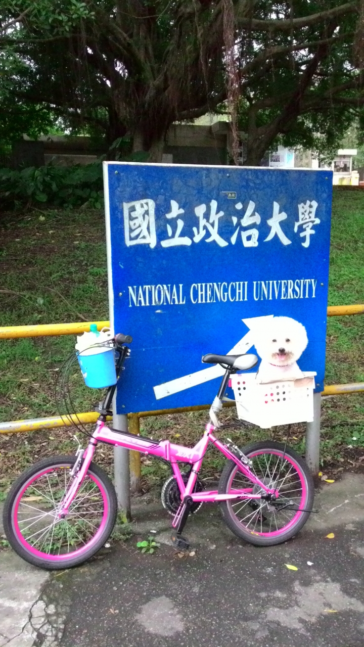 帶著比熊犬騎小摺上貓空尋貓去