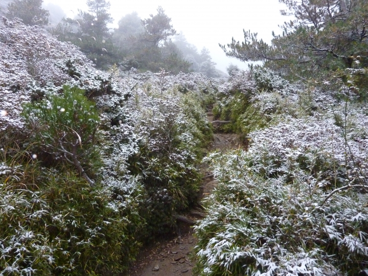計畫要一日合歡北、西峰,原本說好的多雲時晴,迎接我的卻是今年第一場雪