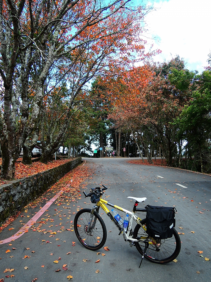 2016 單車環島日誌 Day-6 2016/12/23 台中-大雪山-台中