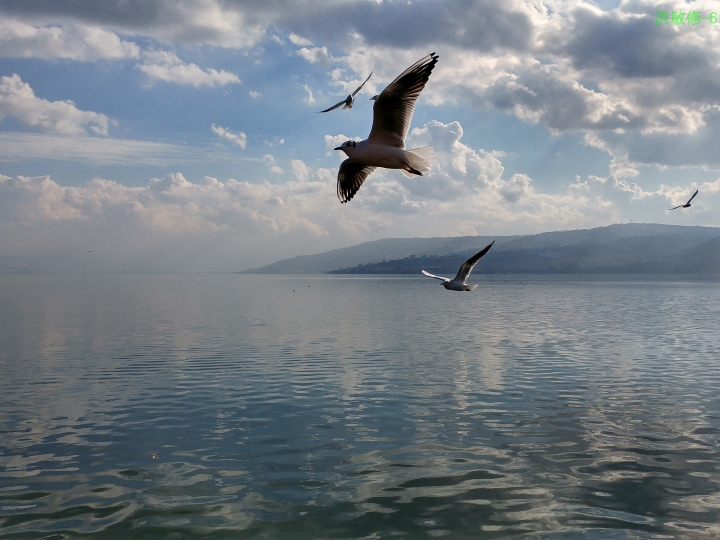 (第114批) LG G / V class 日夜拍研究團 精選作品2017.12.9