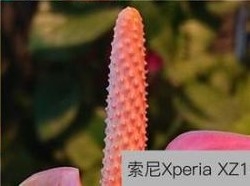 原來這就是HTC和索尼不做雙攝的原因
