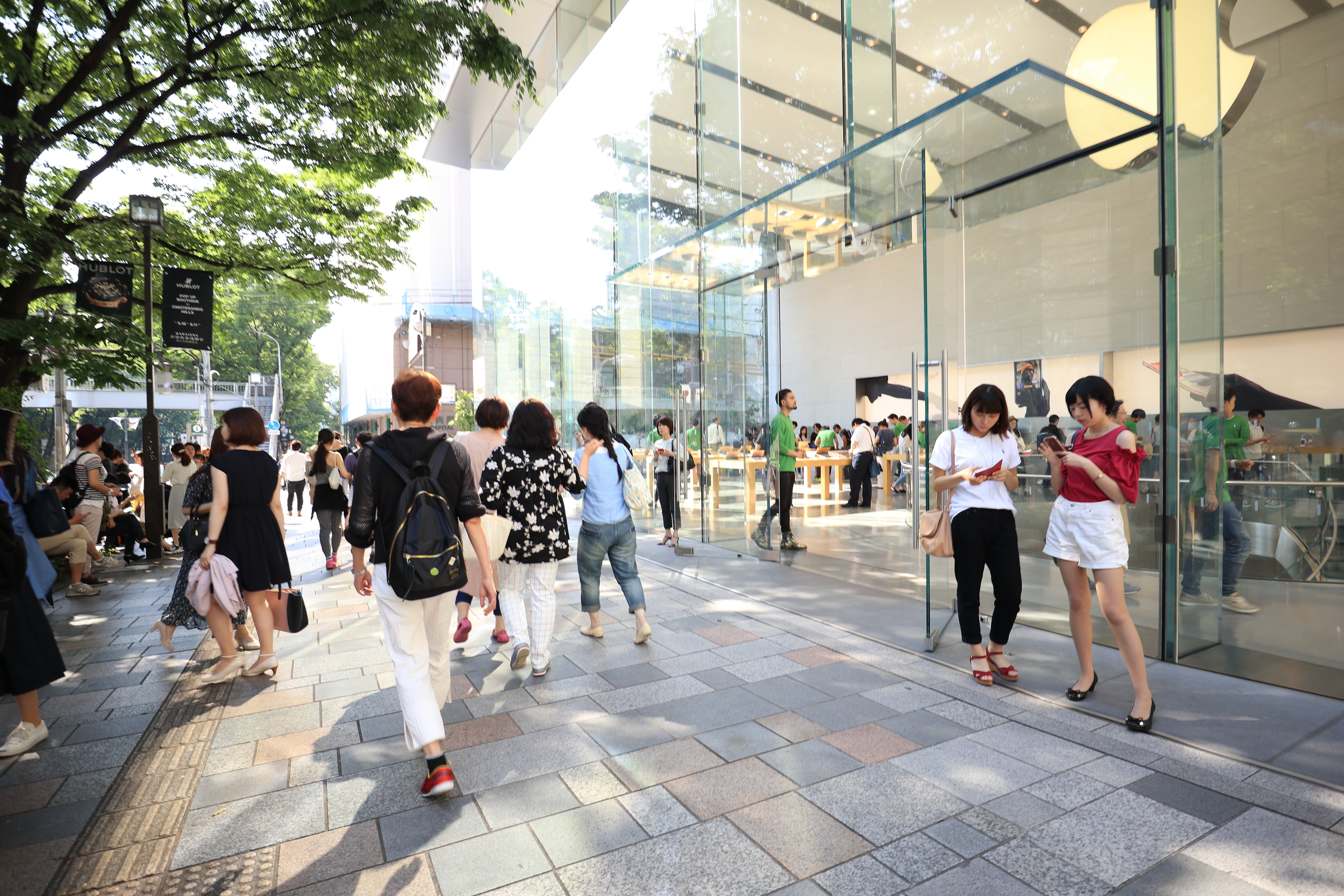 CANON EOS系统使用感受(5D Mark III / IV、1D X、M5)