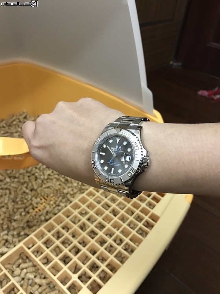 35歲的生日禮物,人生第一隻 勞力士 116622 灰面藍針遊艇鉑金框 開箱文