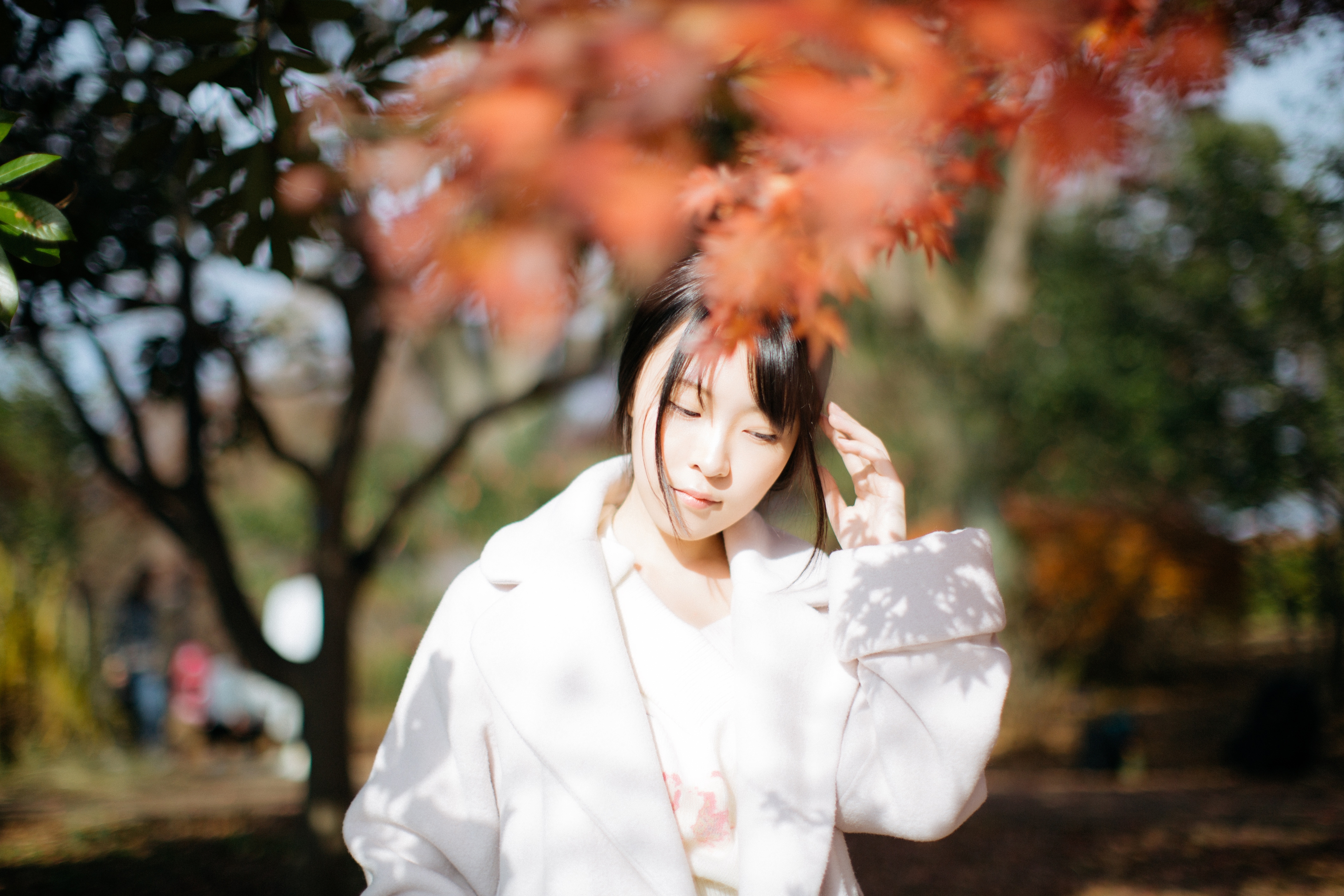 CANON EOS系统使用感受(5D Mark III / IV、1D X、M5)