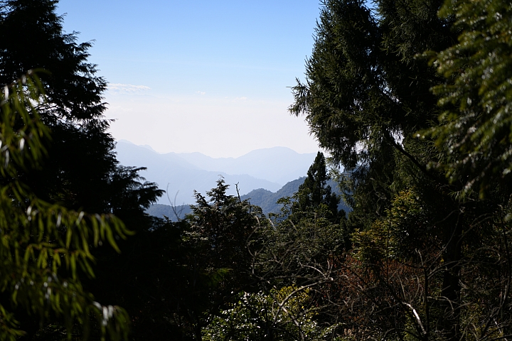 Nikon D850 + 小黑七 實拍照片 Nikon D850 + 小黑七 實拍照片