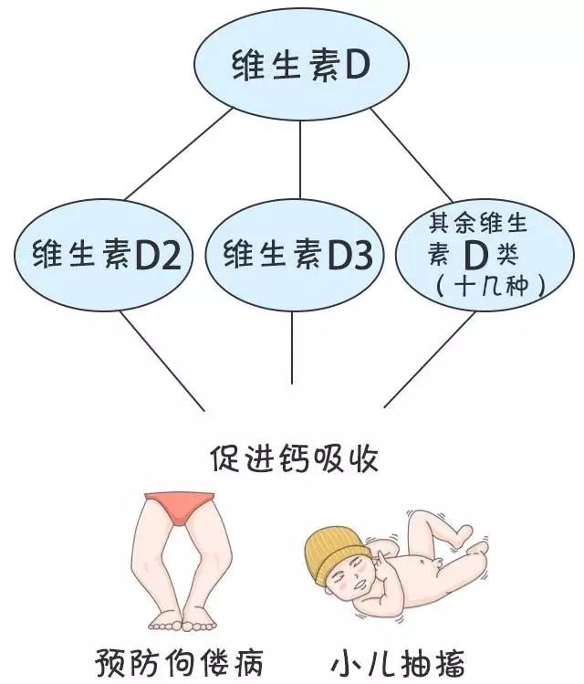 你能分清魚油、魚肝油、維生素AD、維生素D和維生素D3嗎?
