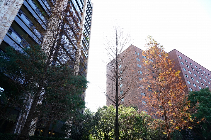 物有所值!Sony FE 24-105 mm F4 G OSS‧旅遊鏡評測(Canon、Nikon、Sigma 同場較勁!)