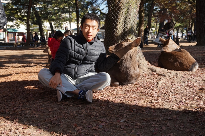 2017奈良路跑 Nara Marathon X奈良看鹿一日遊 ,分享給愛旅遊,路跑的朋友們
