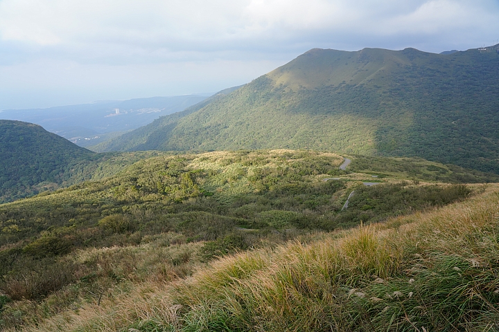 物有所值!Sony FE 24-105 mm F4 G OSS‧旅遊鏡評測(Canon、Nikon、Sigma 同場較勁!)