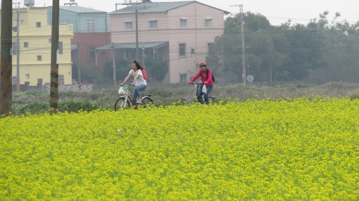 347回1070120龍貓隧道‧繽紛忘憂谷