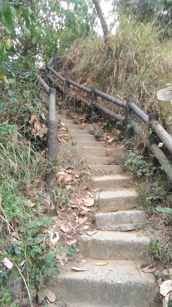 從遙遠雲林到高雄遊觀音山。