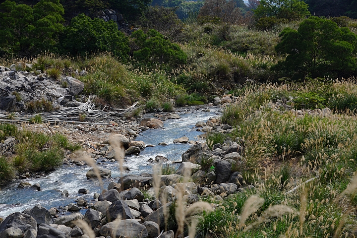 物有所值!Sony FE 24-105 mm F4 G OSS‧旅遊鏡評測(Canon、Nikon、Sigma 同場較勁!)