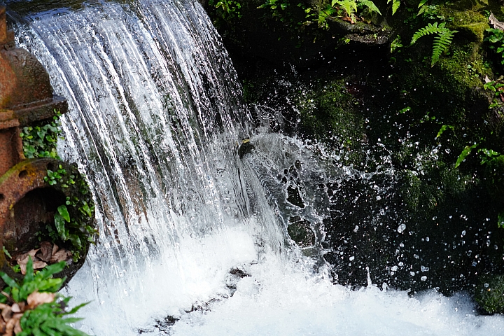 物有所值!Sony FE 24-105 mm F4 G OSS‧旅遊鏡評測(Canon、Nikon、Sigma 同場較勁!)