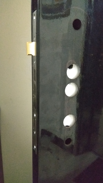 電子鎖指紋鎖 DIY